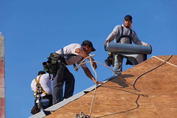 Best Flat Roof Repair Services  in Lebanon, VA