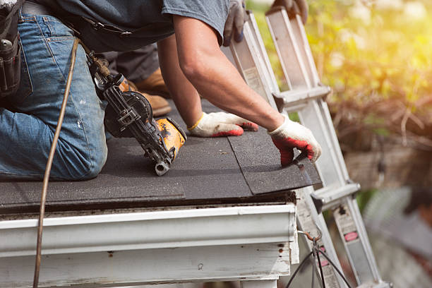 Best Roof Gutter Cleaning  in Lebanon, VA