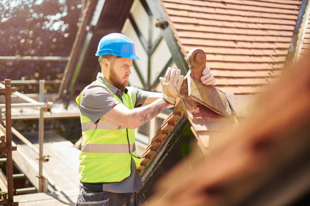 Roof Gutter Cleaning in Lebanon, VA