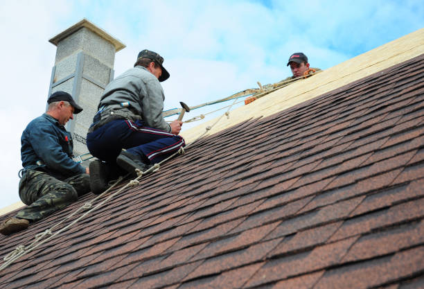Best New Roof Installation  in Lebanon, VA